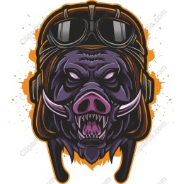 Aviator Boar