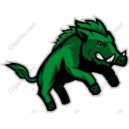 Fierce Green Boar