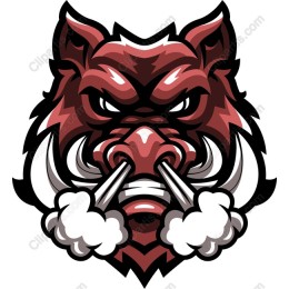 Fierce Boar Mascot
