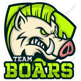 Team Boars