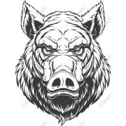 Fierce Wild Boar Head