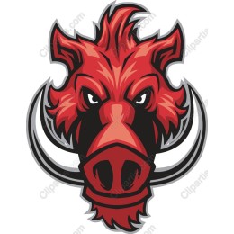 Fierce Red Boar