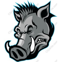 Fierce Boar Head