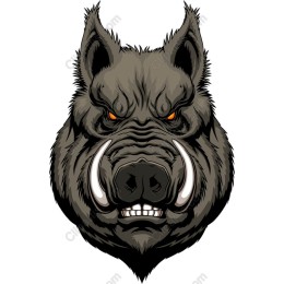 Fierce Wild Boar Head