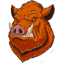 Wild Boar Head