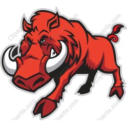 Fierce Red Boar
