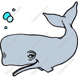 Whimsical Whale