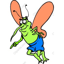 Cheeky Insect
