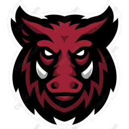 Fierce Wild Boar Head