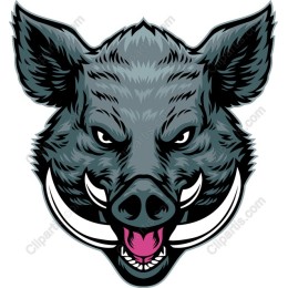 Fierce Boar Head