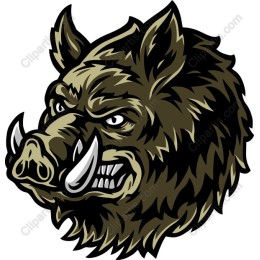 Wild Boar Head