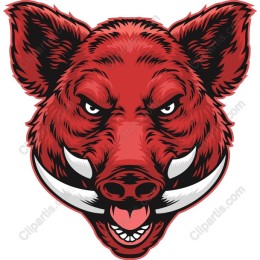 Fierce Boar