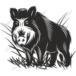 Rustic Boar