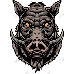 Fierce Boar Head