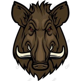 Fierce Wild Boar Head