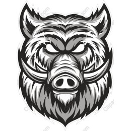 Fierce Wild Boar Head