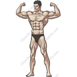 Muscular Man