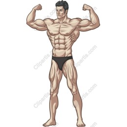 Dynamic Muscular Male