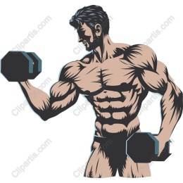 Dynamic Muscular Weightlifter