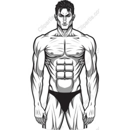 Muscular Male Figure