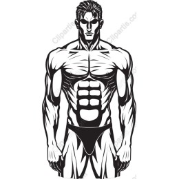 Dynamic Muscular Male