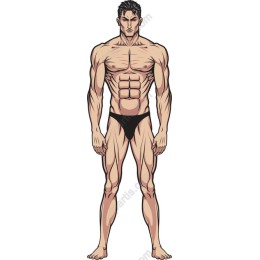 Muscular Man Fitness
