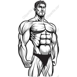Dynamic Muscular Male