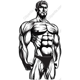 Muscular Male Fitness