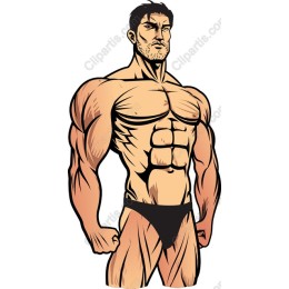 Muscular Man