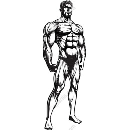 Muscular Man for Fitness and Bodybuilding