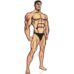 Muscular Male Fitness