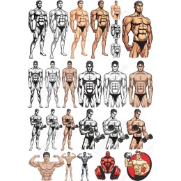 Premium Muscular Male Collection