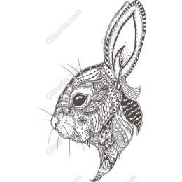 Bohemian Rabbit