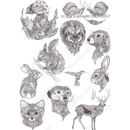 Nature's Charm: Hand-Drawn Animal Bundle