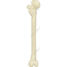 Premium Pet Bone