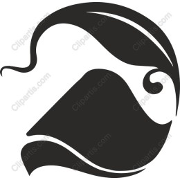 Stylish Fluidity Abstract