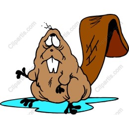Whimsical Beaver