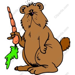 Whimsical One-Eyed Bear