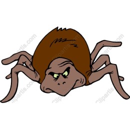 Cartoon Spider
