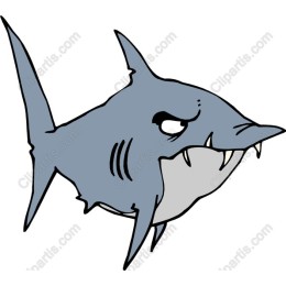 Playful Shark