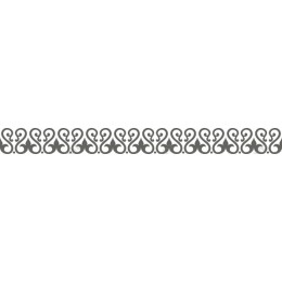 Elegant Ornate Border