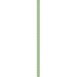 Elegant Leaf