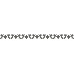 Elegant Decorative Border