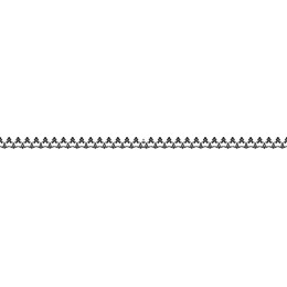 Elegant Border