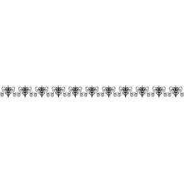 Elegant Black and White Floral Border
