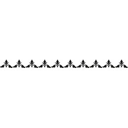 Elegant Decorative Black Border