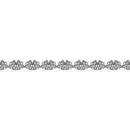 Elegant Black Lace Border