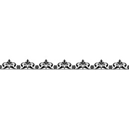 Elegant Black Ornate Border