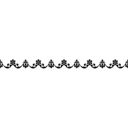Elegant Floral Border in Black