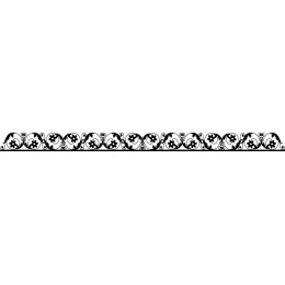 Elegant Ornamental Border